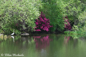[color=#ccccff]Central Park Attractions
