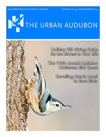 The Urban Audubon - Winter 2019 Cover