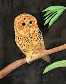 Flaco and Barry Owl Combo Watercolor Painting
